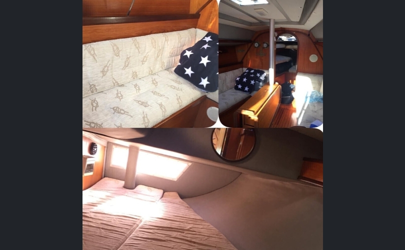 Gib-sea 312 Plus-kuva-2